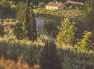 Road-To-Montalcino-Tuscany-Photos_wp7_18726 (1)